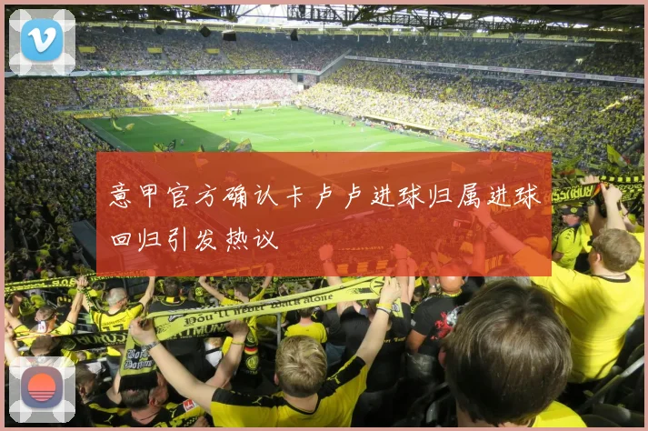 意甲官方确认卡卢卢进球归属进球回归引发热议