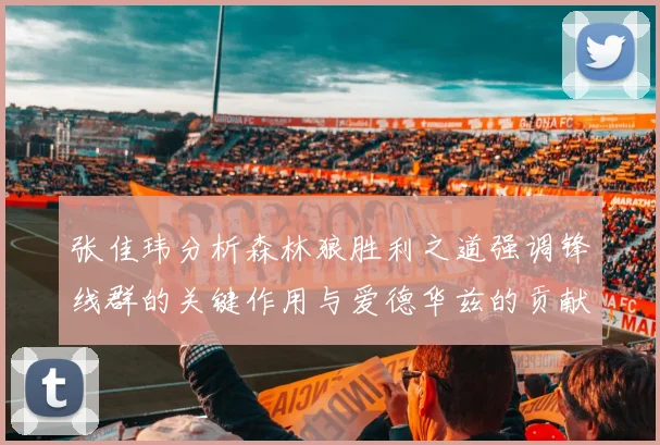 张佳玮分析森林狼胜利之道强调锋线群的关键作用与爱德华兹的贡献