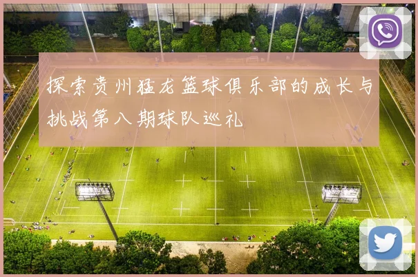 探索贵州猛龙篮球俱乐部的成长与挑战第八期球队巡礼